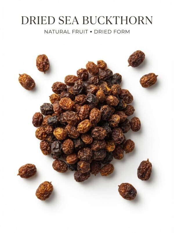 Sea Buckthorn Dried Berries